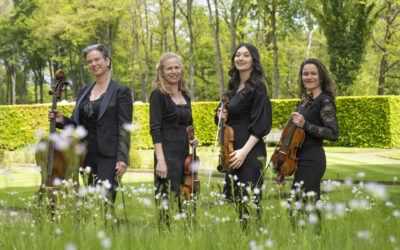 Canon van Pachelbel door Het Strijkkwartet op je bruiloft