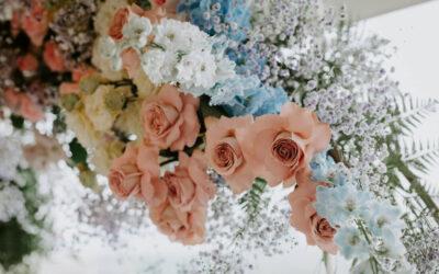 Bridgerton op je bruiloft door Het Strijkkwartet